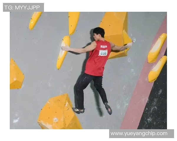 重庆攀岩队与南京攀岩队赛后战术分析与总结探讨