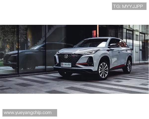 弗洛西与卡利亚的巅峰对决谁能笑到最后揭晓战局真相 弗洛西与卡利亚的巅峰对决谁能笑到最后揭晓战局真相