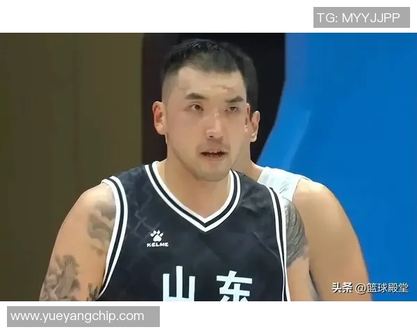 陶汉林：从篮球场上的拼搏到人生舞台的精彩蜕变