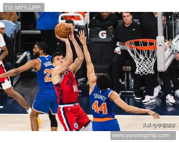 博格丹博格达诺维奇：从天赋新星到NBA全能战士的成长之路