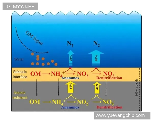 米尔顿与奥德的对决解析：文学风格与思想碰撞的深度探讨