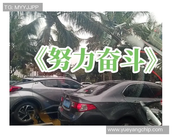 崔永熙：从平凡到卓越的奋斗之路与人生启示