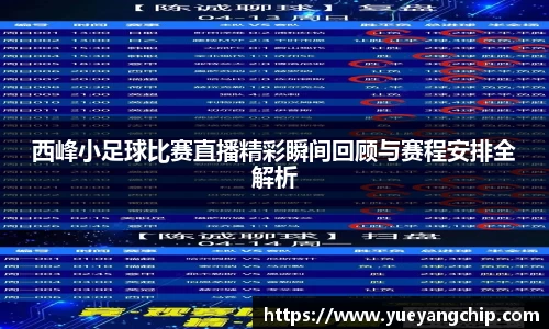 非凡体育官网