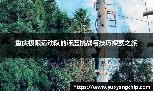 非凡娱乐app