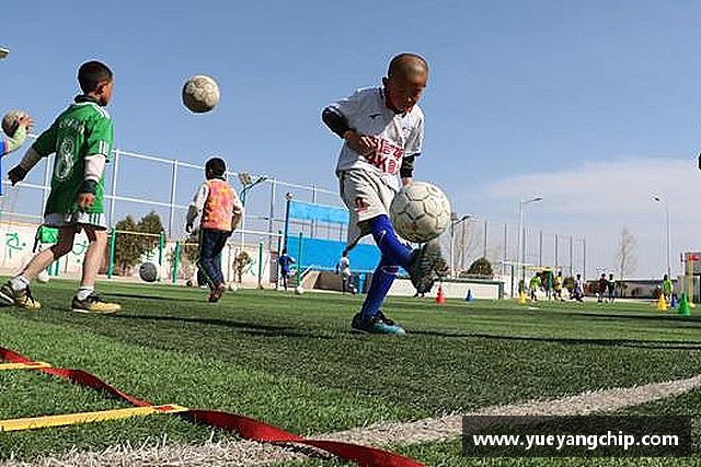 了解非凡娱乐app